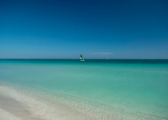 Iberostar Playa Alameda (Adults Only)Resort All Inclusive