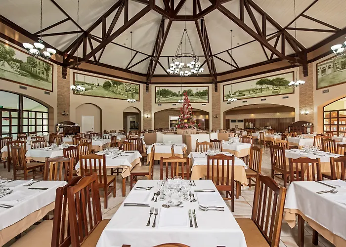 Iberostar Playa Alameda (Adults Only)Resort All Inclusive